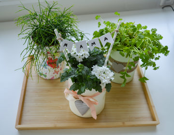 Blumengefäß zum Muttertag