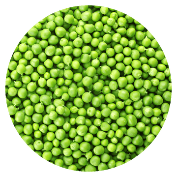 Erbsen